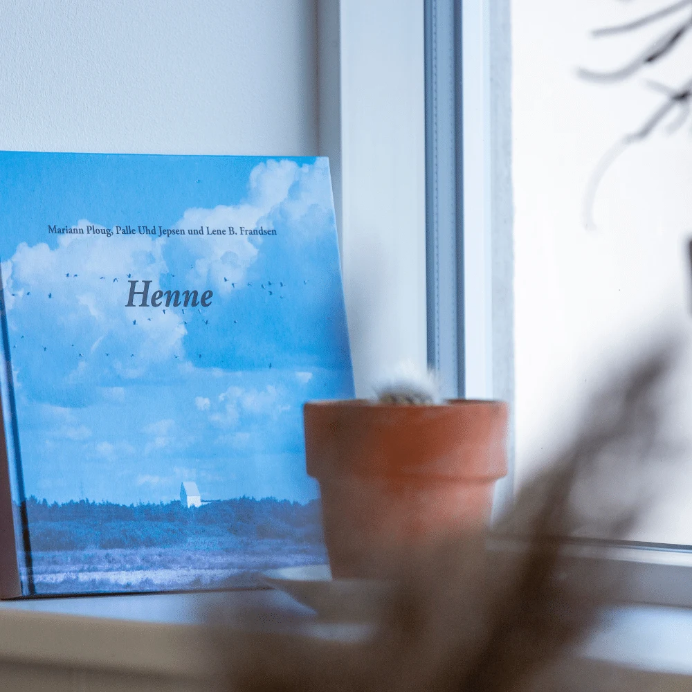 Ny hjemmeside til Lindvig Feriecenter i WordPress